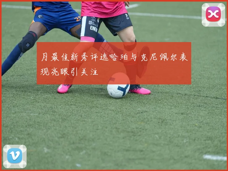 月最佳新秀评选哈珀与克尼佩尔表现亮眼引关注